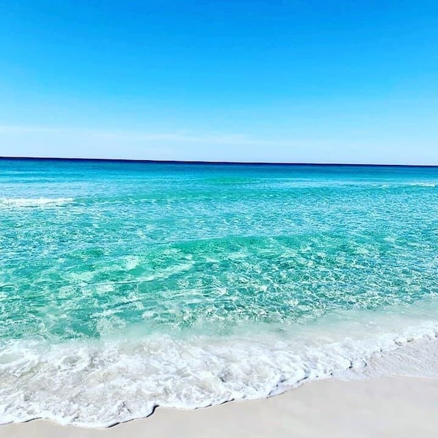 water view featuring a beach view