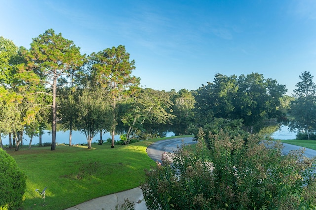 view of property's community featuring a water view and a yard