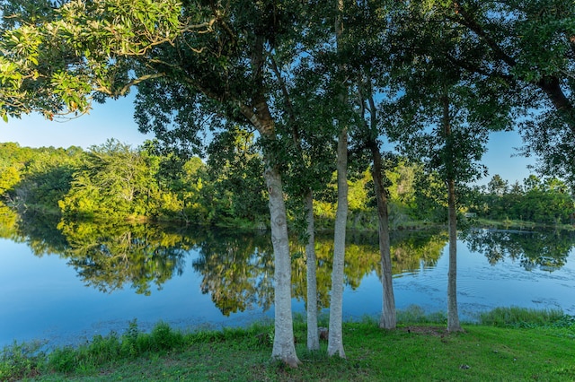 view of water feature featuring a view of trees