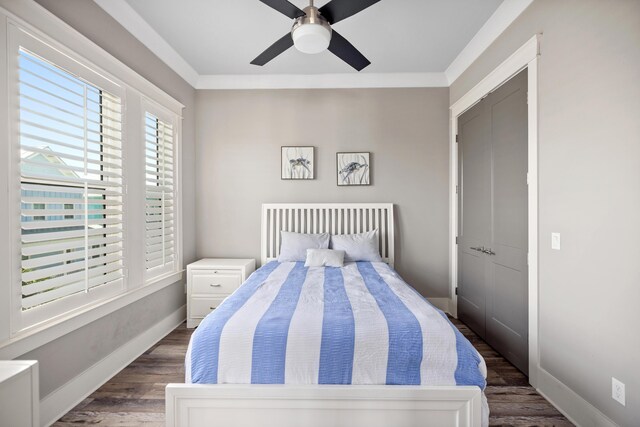 bedroom featuring ornamental molding, ceiling fan, dark hardwood / wood-style floors, and a closet