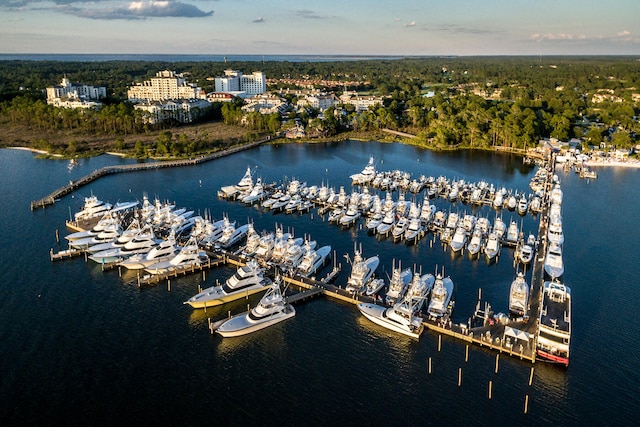 aerial view with a water view