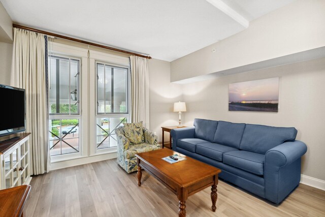 living room featuring light hardwood / wood-style flooring