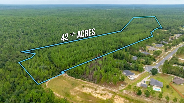 42AC Welannee Blvd, Laurel Hill FL, 32567 land for sale