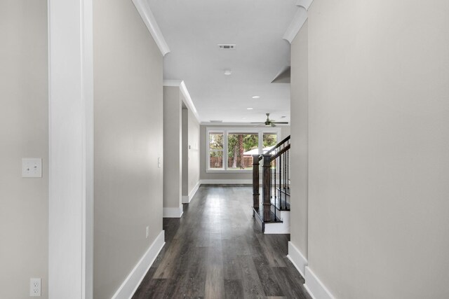 hallway with ornamental molding and dark hardwood / wood-style floors