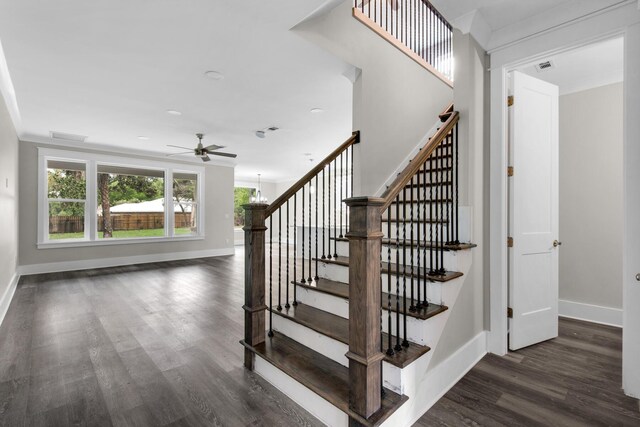 stairs featuring ceiling fan and hardwood / wood-style floors