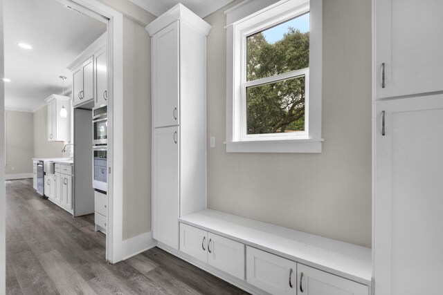 mudroom with ornamental molding and dark hardwood / wood-style flooring