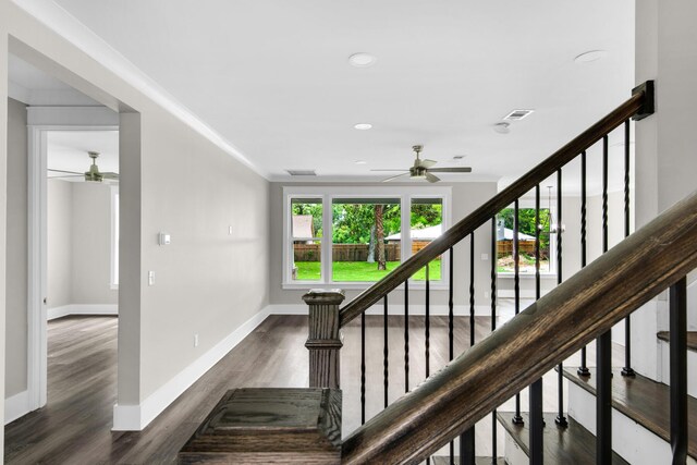 stairs with hardwood / wood-style floors