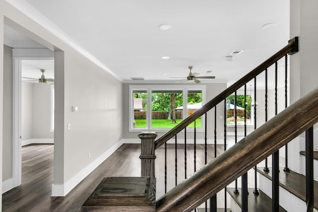 601 Third Ave, Destin, FL 32541 - stairway featuring wood finished floors, a ceiling fan, and a healthy amount of sunlight