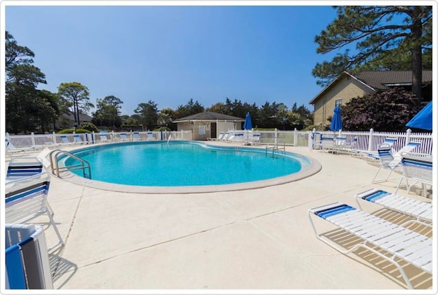 view of pool featuring a patio