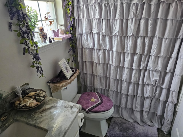 bathroom with toilet and vanity