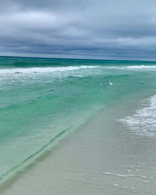 water view featuring a beach view