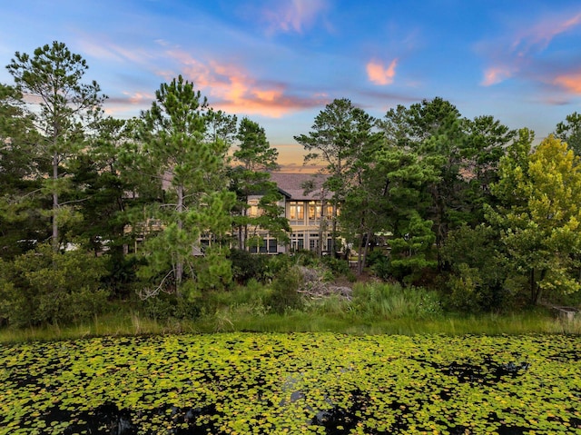 view of nature at dusk