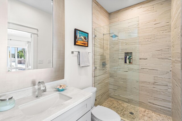 full bathroom featuring toilet, vanity, and walk in shower