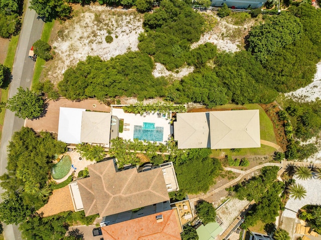 bird's eye view