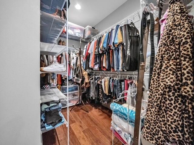 spacious closet featuring wood finished floors