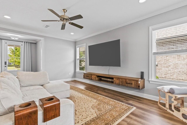 living room with crown molding, hardwood / wood-style floors, and ceiling fan