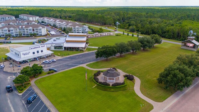 bird's eye view