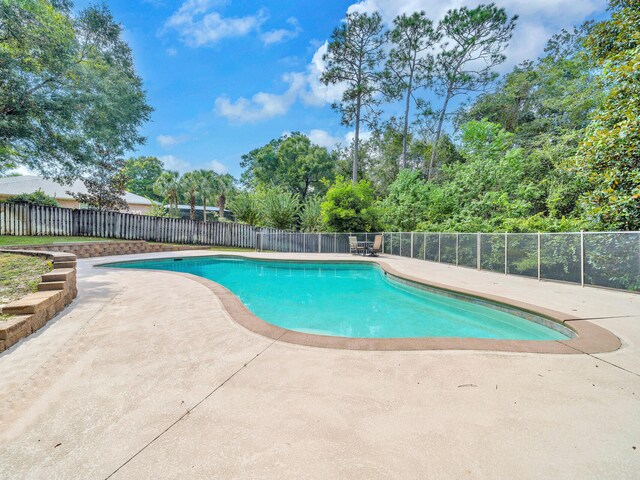 view of pool featuring a patio area