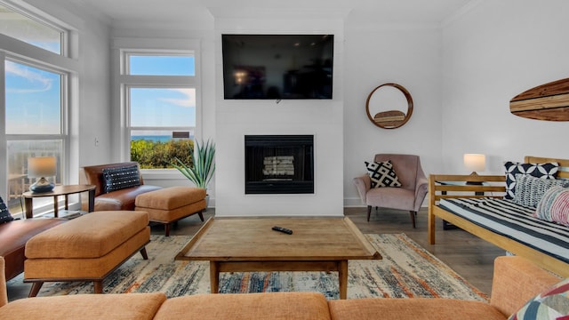 55 Nature Way Unit 100-1, Santa Rosa Beach, FL 32459 - living room with wood finished floors, ornamental molding, and a fireplace