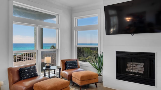 55 Nature Way Unit 100-1, Santa Rosa Beach, FL 32459 - living area featuring crown molding and a fireplace