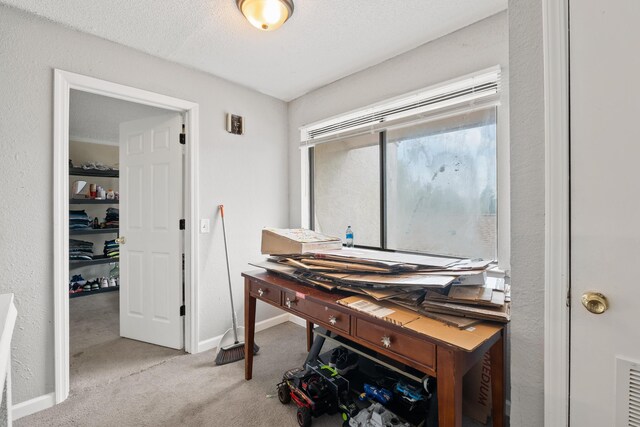 office space featuring light carpet and a textured ceiling