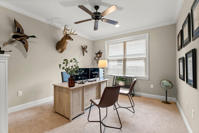 carpeted office space featuring ceiling fan and crown molding