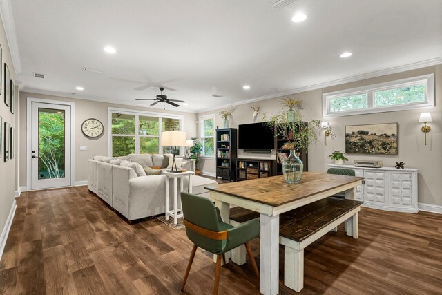 dining room with plenty of natural light, ceiling fan, ornamental molding, and dark wood-type flooring