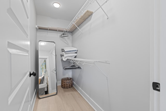 walk in closet featuring wood finished floors