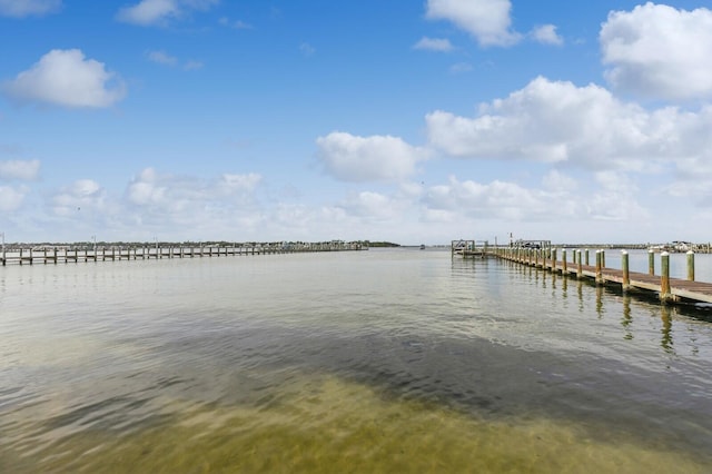 dock area with a water view