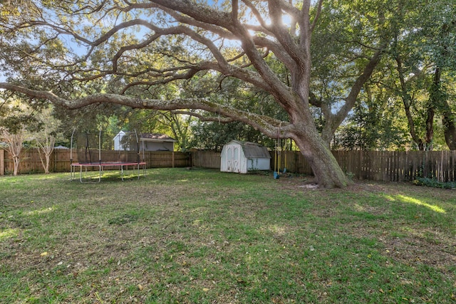 view of yard with a trampoline and a storage shed