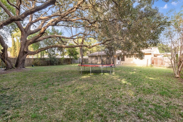 view of yard with a trampoline