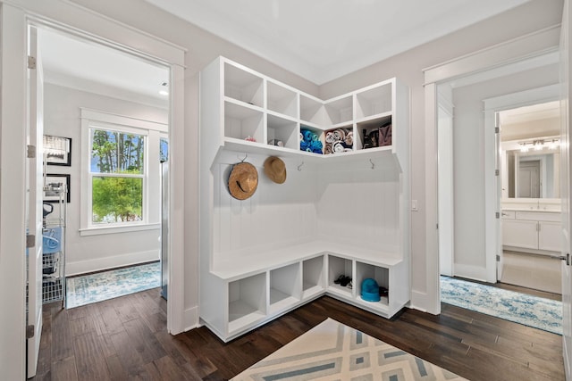 mudroom featuring dark wood-type flooring