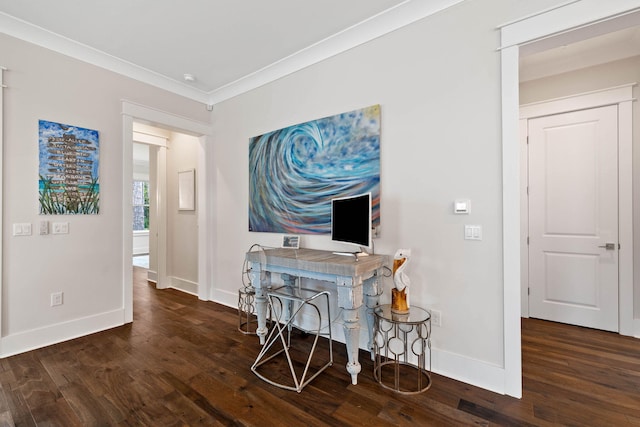 office featuring ornamental molding and dark hardwood / wood-style floors