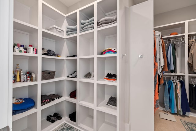 view of spacious closet