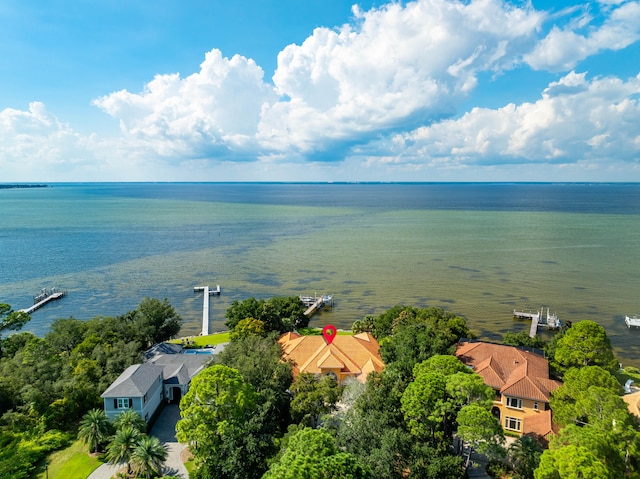 aerial view with a water view