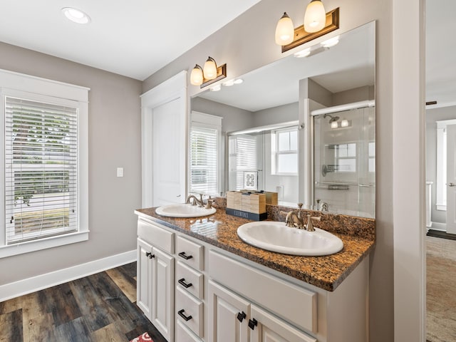 bathroom featuring vanity, a wealth of natural light, and wood-type flooring