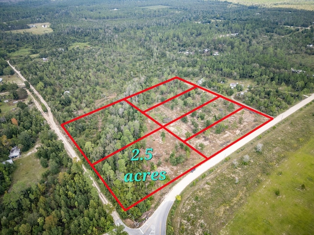 1438 NW Lake Lillian Rd, Fountain, FL 32438
