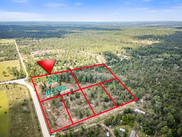 1438 NW Lake Lillian Rd, Fountain, FL 32438