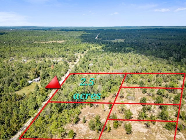 1462 Lake Lillian Rd, Fountain FL, 32438 land for sale