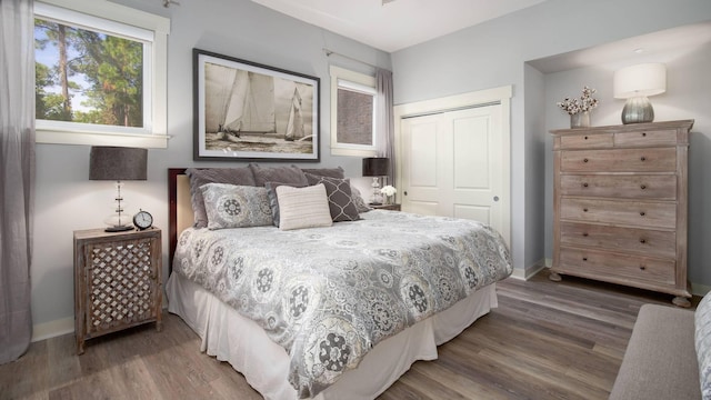 bedroom featuring wood-type flooring and a closet