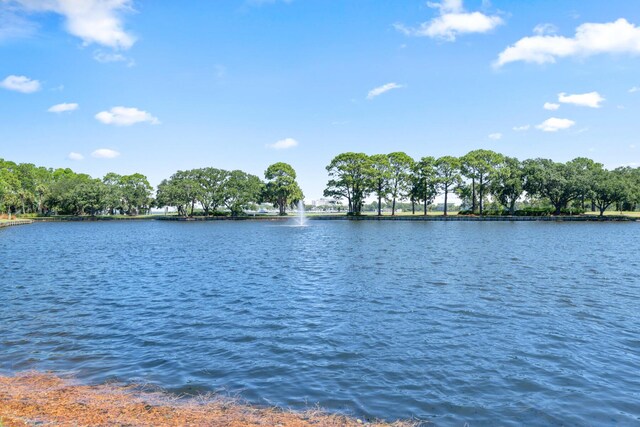 635 Bayou Dr Unit 635, Miramar Beach, FL 32550 - photo 40