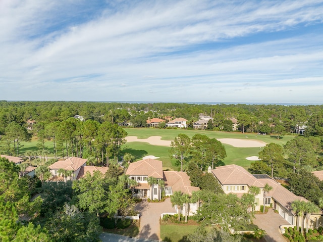 bird's eye view