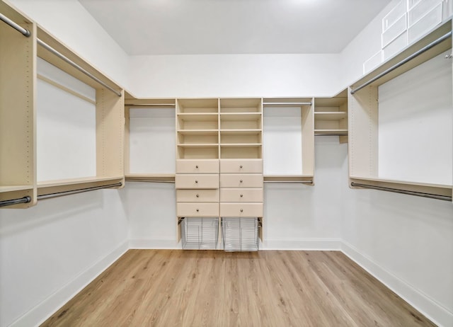 spacious closet with light hardwood / wood-style floors