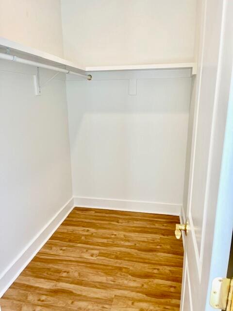 spacious closet with hardwood / wood-style floors