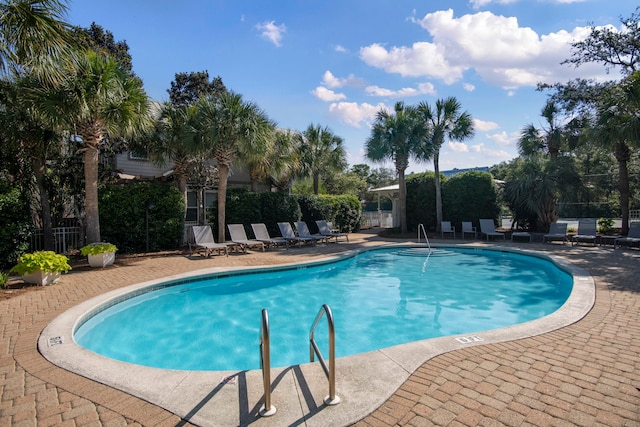 view of swimming pool featuring a patio area