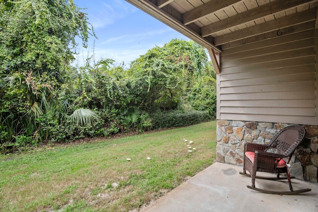 view of yard featuring a patio