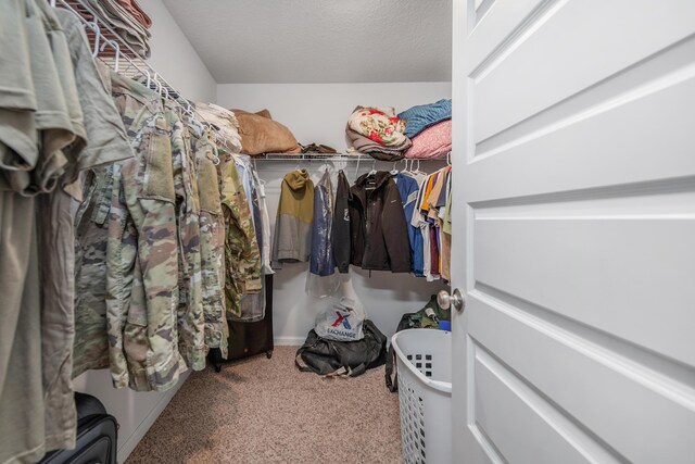 walk in closet featuring carpet floors