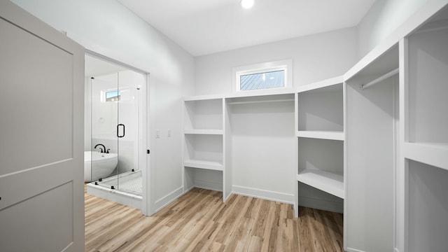 spacious closet featuring light hardwood / wood-style flooring