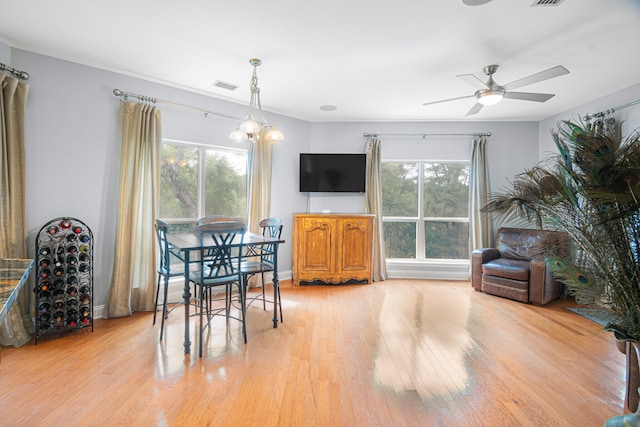 dining area with ceiling fan with notable chandelier, light hardwood / wood-style floors, and a healthy amount of sunlight