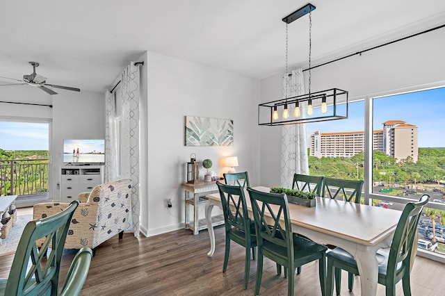 dining area featuring ceiling fan and hardwood / wood-style flooring